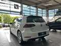 Volkswagen Golf VII GTE LED ACC Virtual AHK R.Cam Blanc - thumbnail 8