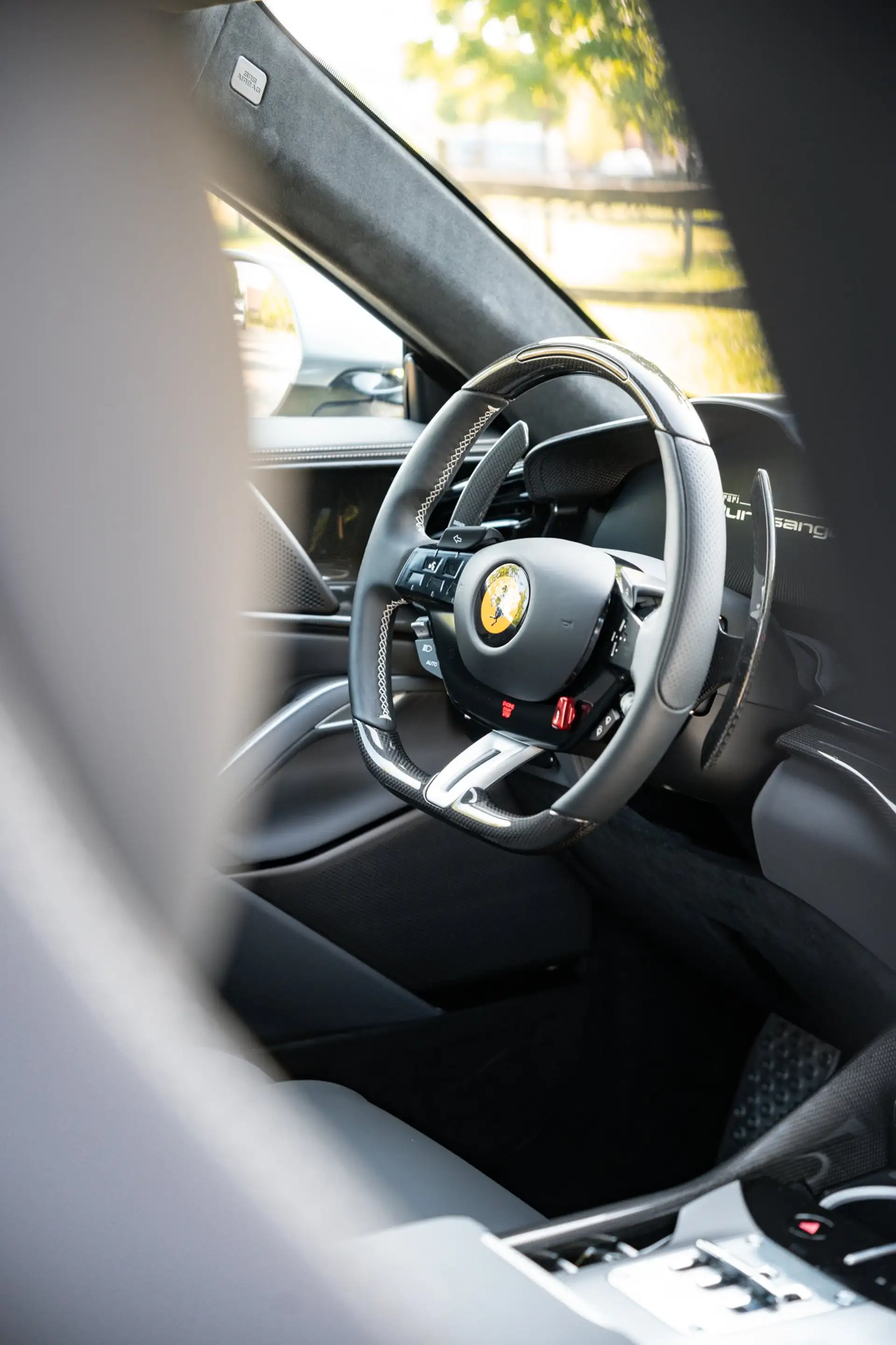 Ferrari Purosangue Purosangue 6.5i V12i AWD — photo 12