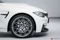 BMW M4 M4 Competition M-DKG / M Performance Carbon Blanco - thumbnail 20
