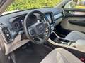 Volvo XC40 XC40 2.0 d3 Momentum geartronic my20 Bianco - thumbnail 17