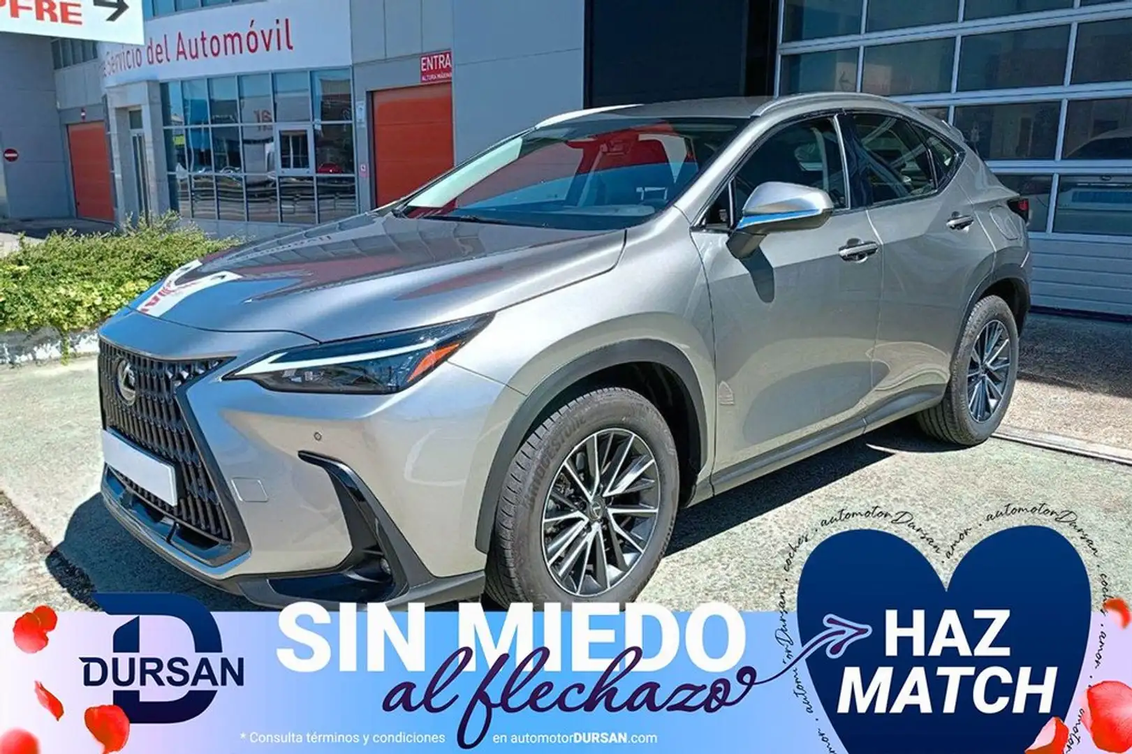 Lexus NX 350h Premium 2WD Gris - 1