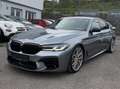 BMW 540 540 i xDrive Luxury Line Grau - thumbnail 3