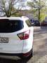 Ford Kuga Kuga 1.5 TDCi 2x4 Business Edition - thumbnail 2