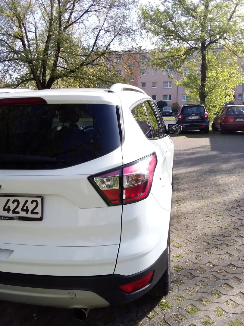 Ford Kuga Kuga 1.5 TDCi 2x4 Business Edition - 2