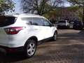Ford Kuga Kuga 1.5 TDCi 2x4 Business Edition - thumbnail 5