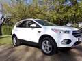 Ford Kuga Kuga 1.5 TDCi 2x4 Business Edition - thumbnail 3
