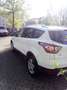 Ford Kuga Kuga 1.5 TDCi 2x4 Business Edition - thumbnail 4