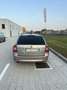 Skoda Octavia Wagon 1.6 tdi cr Elegance Brons - thumbnail 4