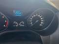 Ford Focus 1.6 TDCi 115Cv SW Titanium - autoone.it Grigio - thumbnail 6