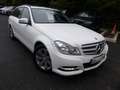 Mercedes-Benz C 180 180 D EXECUTIVE 7G-TRONIC PLUS Weiß - thumbnail 3