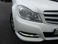 Mercedes-Benz C 180 180 D EXECUTIVE 7G-TRONIC PLUS Weiß - thumbnail 7