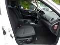 Mercedes-Benz C 180 180 D EXECUTIVE 7G-TRONIC PLUS Weiß - thumbnail 11