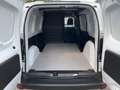 Renault Kangoo III Rapid 1.5 BLUE dCi 115 Advance Open Ses Weiß - thumbnail 18