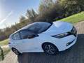 Nissan Leaf Acenta 40 kWh Білий - thumbnail 14