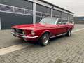Ford Mustang GTA Cabrio, S-Code, 390ci V8 BigBlock, Top-Zustand Rot - thumbnail 11