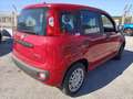 Fiat Panda 1.0 FireFly S&S Hybrid PREZZO REALE Rouge - thumbnail 7