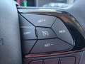 Fiat Panda 1.0 FireFly S&S Hybrid PREZZO REALE Rouge - thumbnail 15