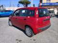 Fiat Panda 1.0 FireFly S&S Hybrid PREZZO REALE Rouge - thumbnail 5