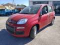 Fiat Panda 1.0 FireFly S&S Hybrid PREZZO REALE Rouge - thumbnail 3