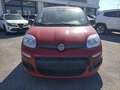 Fiat Panda 1.0 FireFly S&S Hybrid PREZZO REALE Rouge - thumbnail 2