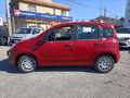 Fiat Panda 1.0 FireFly S&S Hybrid PREZZO REALE Rouge - thumbnail 4