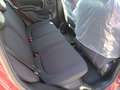 Fiat Panda 1.0 FireFly S&S Hybrid PREZZO REALE Rouge - thumbnail 10
