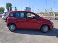 Fiat Panda 1.0 FireFly S&S Hybrid PREZZO REALE Rouge - thumbnail 8