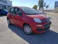 Fiat Panda 1.0 FireFly S&S Hybrid PREZZO REALE Rouge - thumbnail 1