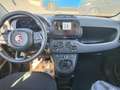 Fiat Panda 1.0 FireFly S&S Hybrid PREZZO REALE Rouge - thumbnail 11