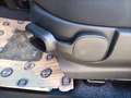 Fiat Panda 1.0 FireFly S&S Hybrid PREZZO REALE Rouge - thumbnail 13