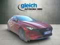 Mazda 3 SKYACTIV-G 2.0 Selection Navi LED ACC 18 Zoll Rot - thumbnail 16