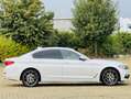 BMW 520 520d xdrive Business 190cv auto Bianco - thumbnail 10