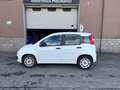 Fiat Panda Panda 1.3 mjt 16v Easy s - SOLI 81.070 KM Bianco - thumbnail 5