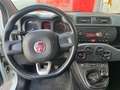 Fiat Panda Panda 1.3 mjt 16v Easy s - SOLI 81.070 KM Bianco - thumbnail 8