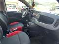 Fiat Panda Panda 1.3 mjt 16v Easy s - SOLI 81.070 KM Bianco - thumbnail 12