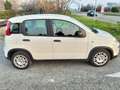 Fiat Panda Pandina 1.0 firefly hybrid s km 5000 Blanc - thumbnail 3
