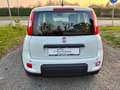 Fiat Panda Pandina 1.0 firefly hybrid s km 5000 Blanc - thumbnail 4