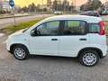 Fiat Panda Pandina 1.0 firefly hybrid s km 5000 Blanc - thumbnail 2