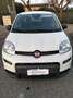 Fiat Panda Pandina 1.0 firefly hybrid s km 5000 Blanc - thumbnail 1