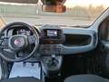 Fiat Panda Pandina 1.0 firefly hybrid s km 5000 Blanc - thumbnail 5