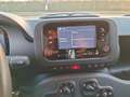Fiat Panda Pandina 1.0 firefly hybrid s km 5000 Blanc - thumbnail 7