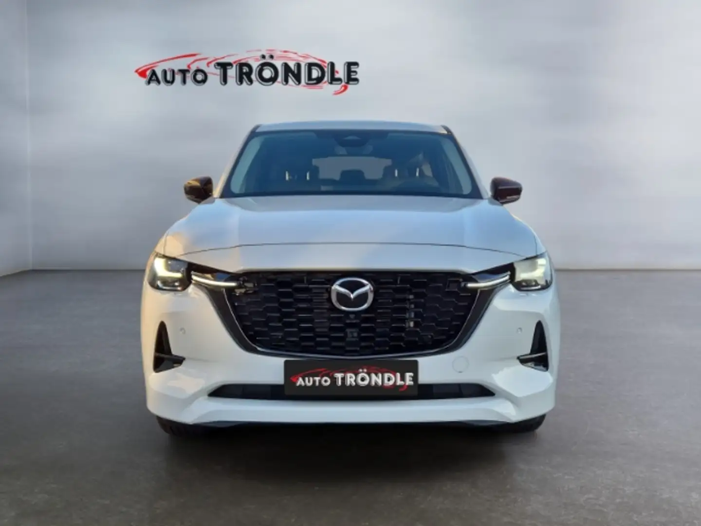 Mazda CX-60 3.3 AWD Homura +AHK +360 Kamera +Navi Weiß - 2