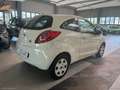 Ford Ka/Ka+ + 1.2 8V 69 CV - thumbnail 4