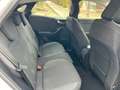 Ford Puma 1.5 Ecoblue Titanium Design 120 Blanco - thumbnail 22