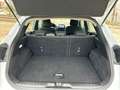 Ford Puma 1.5 Ecoblue Titanium Design 120 Blanco - thumbnail 18