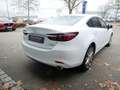 Mazda 6 SKYACTIV-G FWD Takumi HUD MATRIX-LED 360° Alb - thumbnail 5