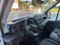 Ford Transit 2.0 tdci 130CV L3 RIBALTABILE TRILAT. 7 POSTI RG Blanc - thumbnail 12