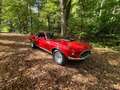 Ford Mustang Rot - thumbnail 6