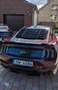 Ford Mustang 5.0 Ti-VCT V8 331kW  GT (Fastb.) Mauve - thumbnail 13