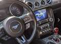 Ford Mustang 5.0 Ti-VCT V8 331kW  GT (Fastb.) Mauve - thumbnail 10